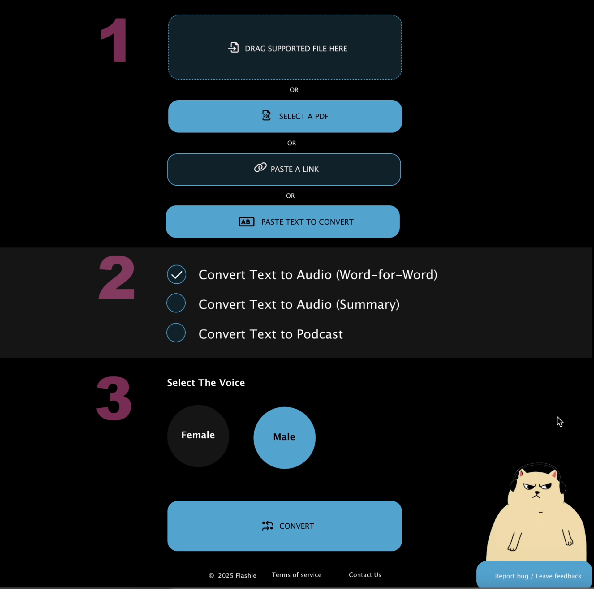 Flashie three-step conversion flow